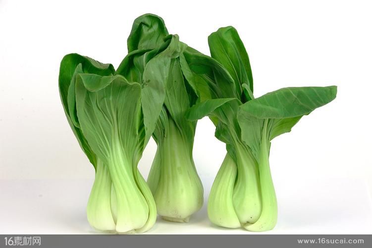翠绿的新鲜蔬菜高清图片