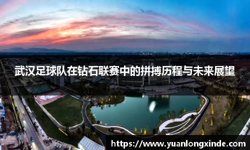 武汉足球队在钻石联赛中的拼搏历程与未来展望